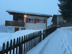IMG_0755