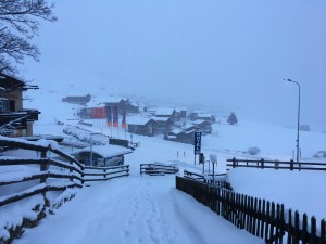 IMG_0757